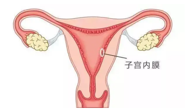 广州助孕公司：试管移植鲜胚和冻胚后血值是不是不一样?